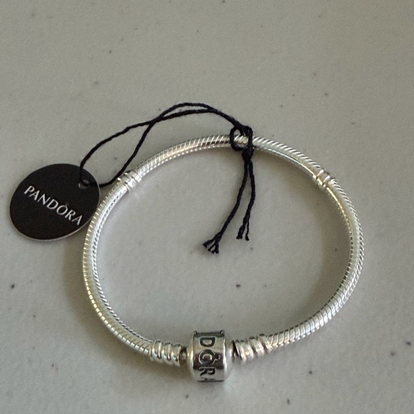 Pandora Classic Silver Bracelet - Picture 9 of 12